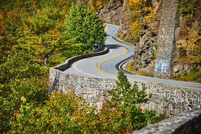 High angle view of road amidst trees