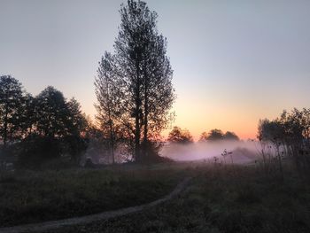 Trees on field against sky during sunset