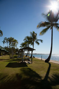 Palm trees on beach against sky