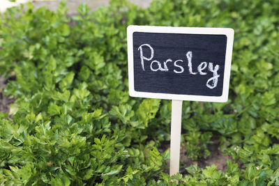 Close-up of information sign