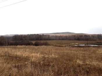 Scenic view of field against clear sky