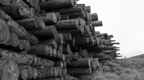 Stack of firewood