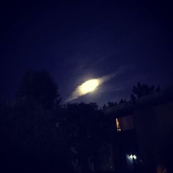 Low angle view of illuminated trees against sky at night