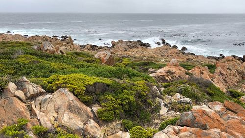 Scenic view of rocks on beach against sky