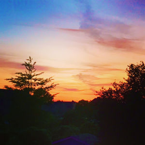 Silhouette trees against sky during sunset