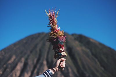 Cropped hand holding flowers against mountain in sunny day