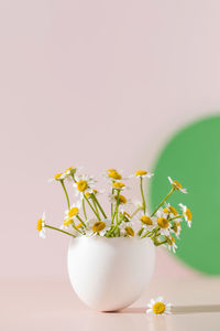Spring and easter concept, a bouquet of daisies in an eggshell on a pink background with shadows.