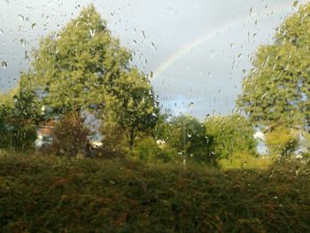 Close-up of wet window in rainy season