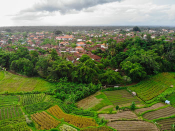 High angle view of agricultural field against sky and village