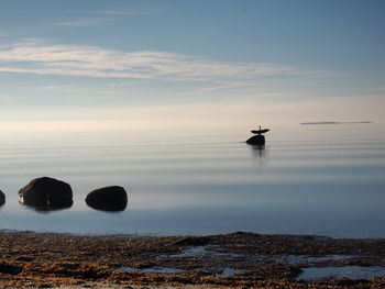 Silhouette boat in sea against sky during sunset