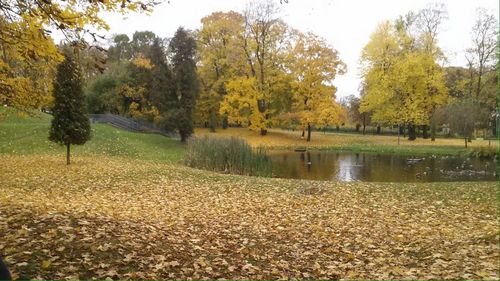 Scenic view of park during autumn