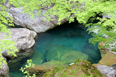 High angle view of waterfall amidst plants