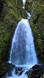 View of waterfall in forest