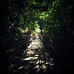 Footbridge in forest