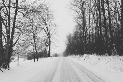 Snow covered road along trees
