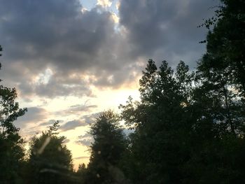 Low angle view of silhouette trees against sky during sunset