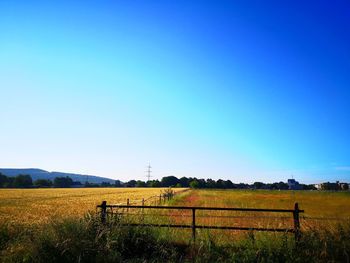 Scenic view of field against clear blue sky