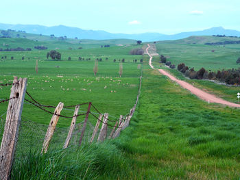 Green fields, blue mountains and vanishing lines