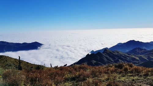 Scenic view of landscape against clear blue sky