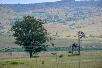 Tree on field against mountains