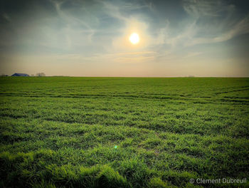 Scenic view of field against sky during sunset