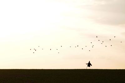 Low angle view of birds flying in sky