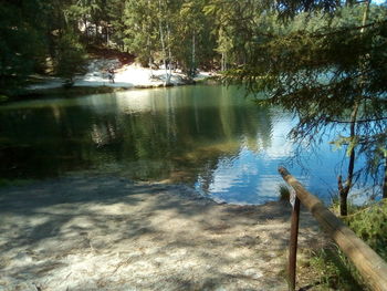 Scenic view of lake in forest