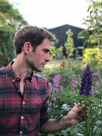 Handsome gardener looking at lupin flower