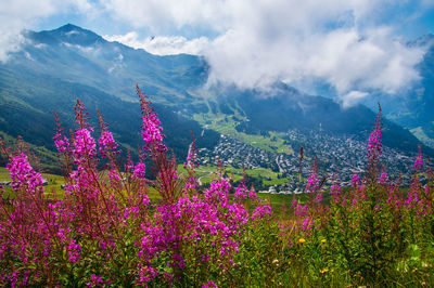 Scenic view of flowering plants and mountains against sky