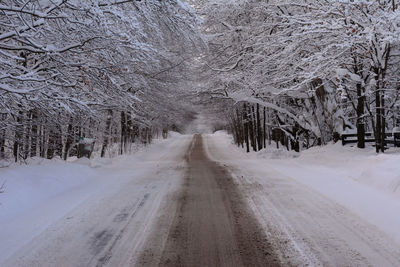 Snow covered road amidst trees during winter