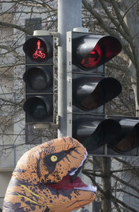 Pedestrian traffic light on the street, visual signal for road users