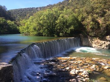 Scenic view of waterfall in forest