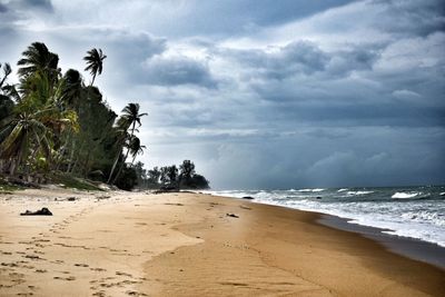 Scenic view of beach against sky