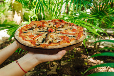 Close-up of hand holding pizza