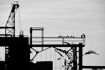Low angle view of birds perching on metal structure