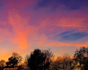 Low angle view of silhouette trees against sky during sunset