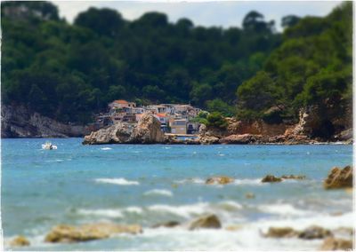 Scenic view of sea against trees