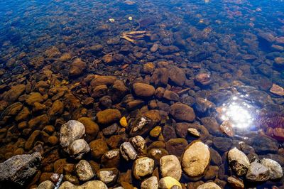 Surface level of pebble beach