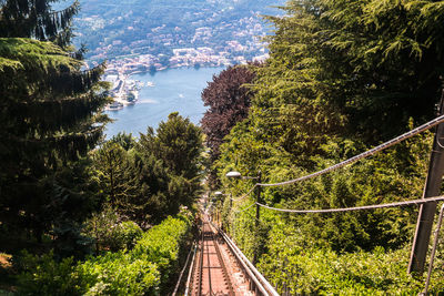 Railway bridge amidst trees leading towards river