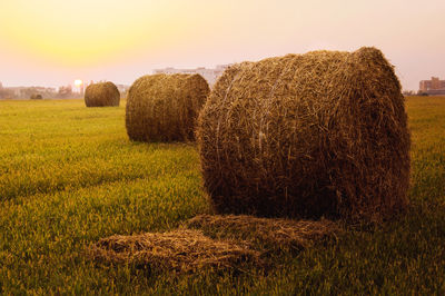 Hay bales on field against sky