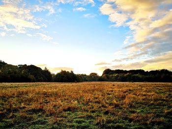 Scenic view of field against sky