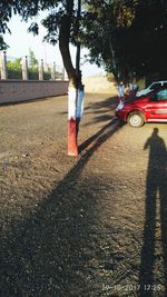 Shadow of boy on street in city