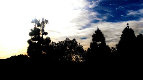 Low angle view of silhouette trees against sky at sunset