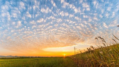 Scenic view of field against sky during sunset