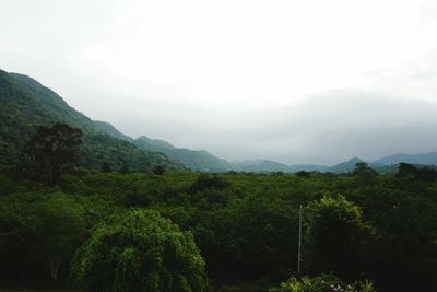 Scenic view of green landscape against sky