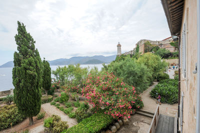 Plants by trees and mountains against sky