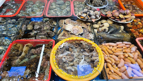 Variety of fresh seafood at fish market