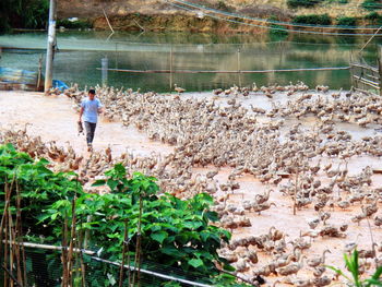 Man working in water
