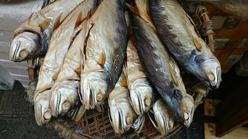 Fish for sale at market stall