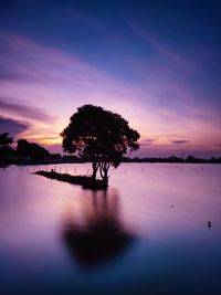 Sunset on cipondoh lake